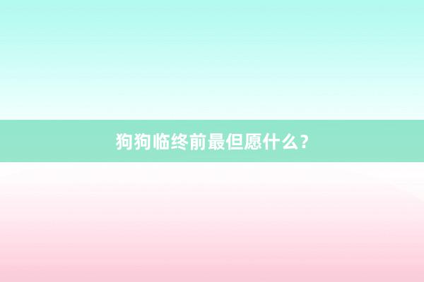 狗狗临终前最但愿什么？